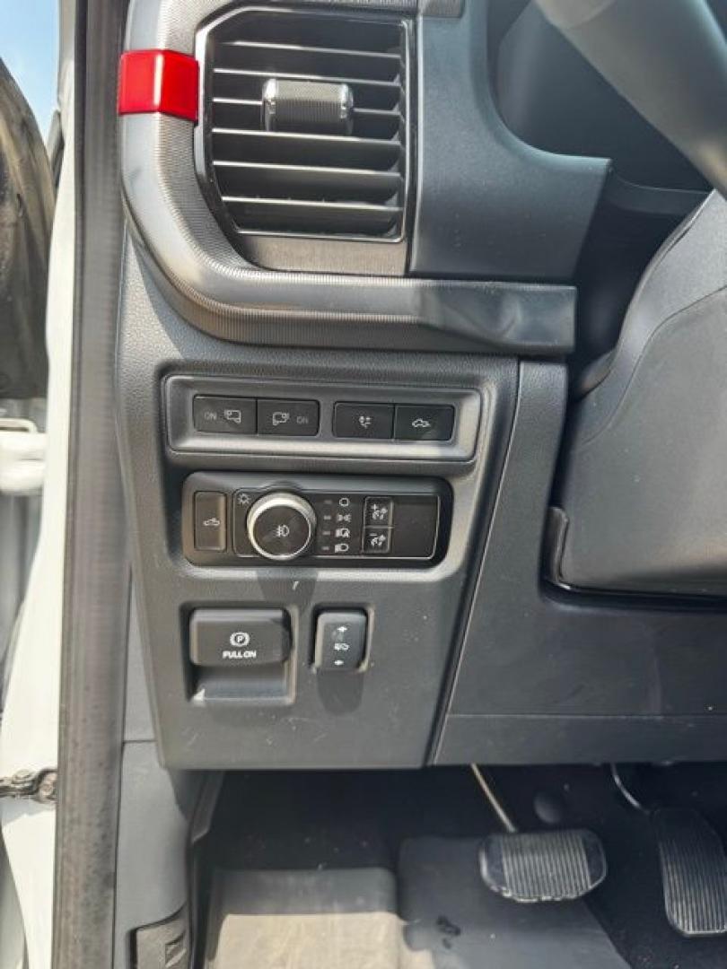 2024 Avalanche /Black Ford F-150 Raptor (1FTFW1RGXRF) with an 3.5L V6 EcoBoost engine, Automatic transmission, located at 1105 E Mulberry, Kaufman, TX, 75142, (972) 962-2151, 32.589550, -96.300926 - Avalanche 2024 Ford F-150 4D SuperCrew Raptor 4WD 10-Speed Automatic 3.5L V6 EcoBoost 4WD.<br><br><br>Recent Arrival! Odometer is 8871 miles below market average!<br><br><br>Please call Paul Murrey Ford Inc. In Kaufman Texas A Family Dealership Since 1952 Serving the Dallas Fort Worth and East Texas - Photo#14