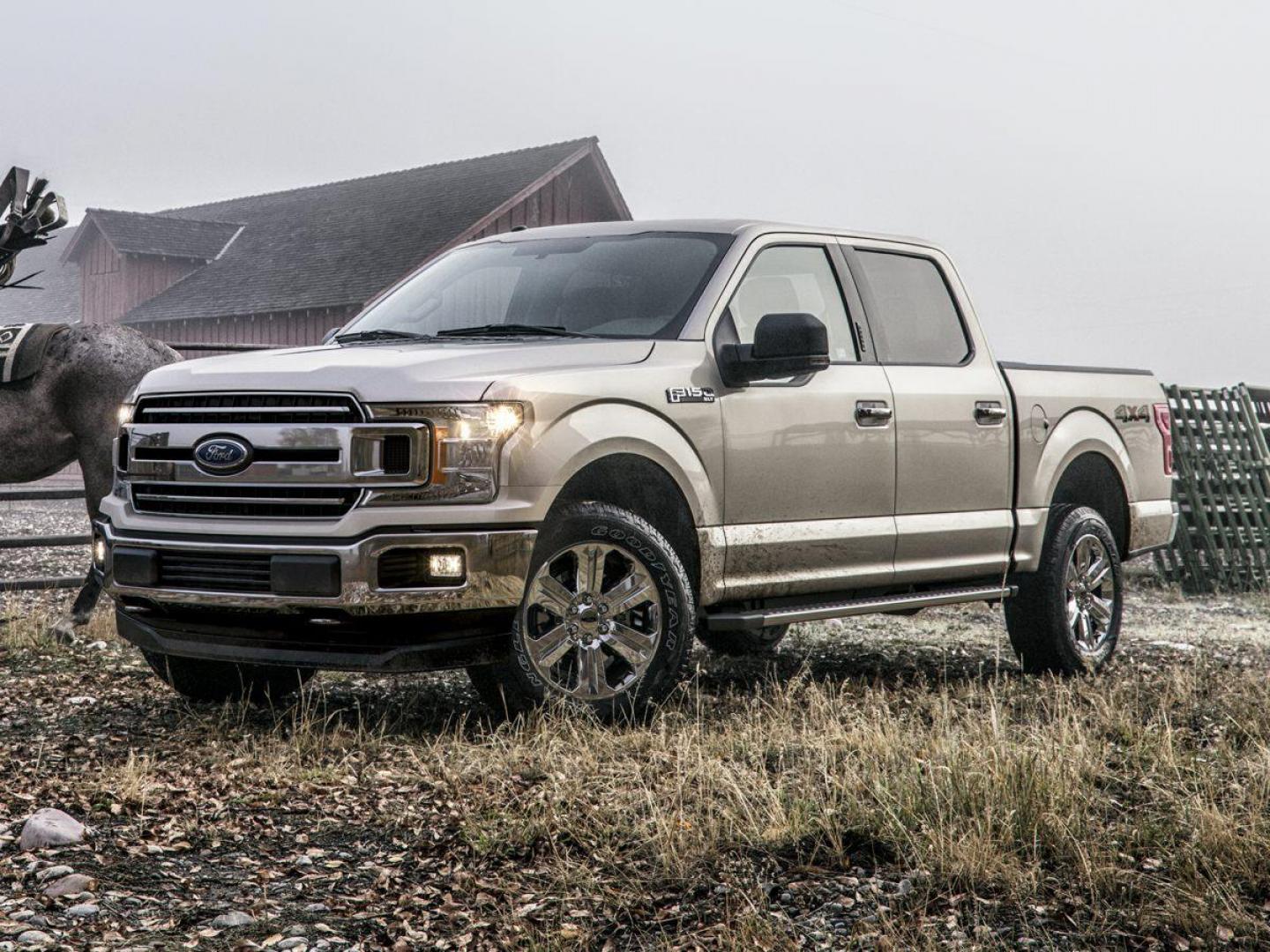 2020 Race Red /Medium Earth Gray Ford F-150 XL (1FTMF1CB7LK) with an 3.3L V6 engine, Automatic transmission, located at 1105 E Mulberry, Kaufman, TX, 75142, (972) 962-2151, 32.589550, -96.300926 - Race Red 2020 Ford F-150 2D Standard Cab XL RWD 6-Speed Automatic Electronic 3.3L V6<br><br><br>Recent Arrival!<br><br><br>Please call Paul Murrey Ford Inc. In Kaufman Texas A Family Dealership Since 1952 Serving the Dallas Fort Worth and East Texas areas for over 70 years. Please call 972-962-2151 - Photo#0
