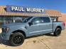 2023 Azure Gray Metallic /Black Ford F-150 Platinum (1FTFW1E8XPF) with an 3.5L V6 EcoBoost engine, Automatic transmission, located at 1105 E Mulberry, Kaufman, TX, 75142, (972) 962-2151, 32.589550, -96.300926 - Azure Gray Metallic 2023 Ford F-150 4D SuperCrew Platinum 4WD 10-Speed Automatic 3.5L V6 EcoBoost 4WD.<br><br><br>Recent Arrival!<br><br><br>Please call Paul Murrey Ford Inc. In Kaufman Texas A Family Dealership Since 1952 Serving the Dallas Fort Worth and East Texas areas for over 70 years. Please - Photo#0