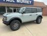 2024 Cactus Gray /Black Onyx Ford Bronco Badlands (1FMEE9BP9RL) with an 2.7L EcoBoost V6 engine, Automatic transmission, located at 1105 E Mulberry, Kaufman, TX, 75142, (972) 962-2151, 32.589550, -96.300926 - Photo#2