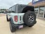 2024 Cactus Gray /Black Onyx Ford Bronco Badlands (1FMEE9BP9RL) with an 2.7L EcoBoost V6 engine, Automatic transmission, located at 1105 E Mulberry, Kaufman, TX, 75142, (972) 962-2151, 32.589550, -96.300926 - Photo#4