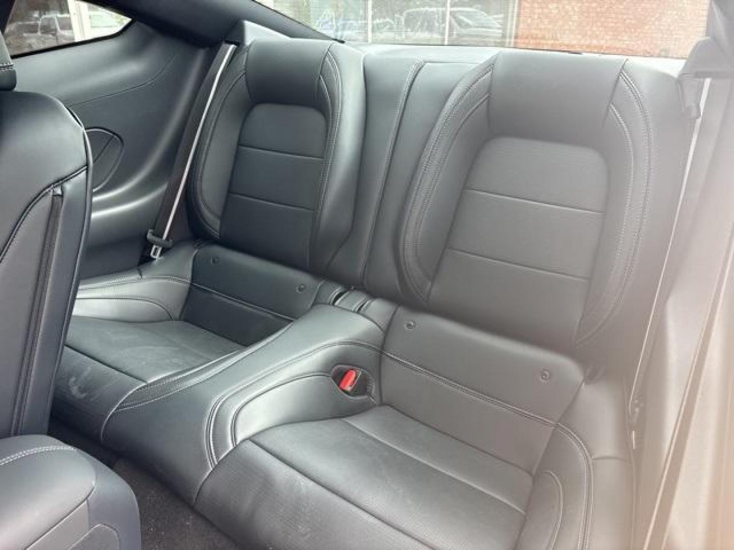2024 Shadow Black /Black Onyx Ford Mustang GT Premium (1FA6P8CFXR5) with an 5.0L V8 Ti-VCT engine, Automatic transmission, located at 1105 E Mulberry, Kaufman, TX, 75142, (972) 962-2151, 32.589550, -96.300926 - Shadow Black 2024 Ford Mustang 2D Coupe GT Premium RWD 10-Speed Automatic 5.0L V8 Ti-VCT<br><br><br>Please call Paul Murrey Ford Inc. In Kaufman Texas A Family Dealership Since 1952 Serving the Dallas Fort Worth and East Texas areas for over 70 years. Please call 972-962-2151 www.murreyford.com www. - Photo#11