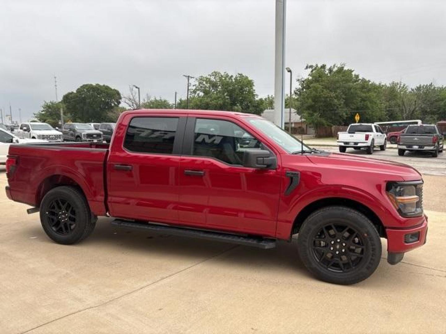 2024 Rapid Red Metallic Tinted Clearcoat /Black Ford F-150 STX (1FTEW2KP3RK) with an 2.7L V6 engine, Automatic transmission, located at 1105 E Mulberry, Kaufman, TX, 75142, (972) 962-2151, 32.589550, -96.300926 - Rapid Red Metallic Tinted Clearcoat 2024 Ford F-150 4D SuperCrew STX RWD 10-Speed Automatic 2.7L V6<br><br>20/26 City/Highway MPG<br><br><br>Please call Paul Murrey Ford Inc. In Kaufman Texas A Family Dealership Since 1952 Serving the Dallas Fort Worth and East Texas areas for over 70 years. Please - Photo#6