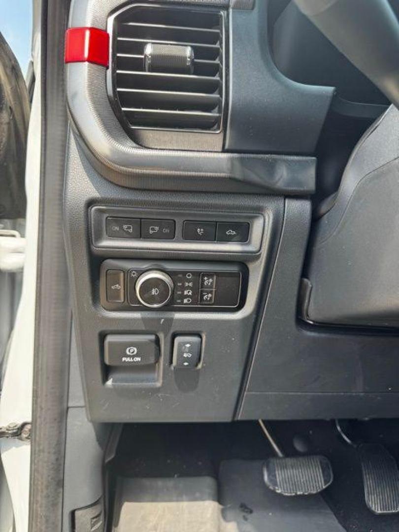 2024 Avalanche /Black Ford F-150 Raptor (1FTFW1RGXRF) with an 3.5L V6 EcoBoost engine, Automatic transmission, located at 1105 E Mulberry, Kaufman, TX, 75142, (972) 962-2151, 32.589550, -96.300926 - Avalanche 2024 Ford F-150 4D SuperCrew Raptor 4WD 10-Speed Automatic 3.5L V6 EcoBoost 4WD.<br><br><br>Recent Arrival! Odometer is 8871 miles below market average!<br><br><br>Please call Paul Murrey Ford Inc. In Kaufman Texas A Family Dealership Since 1952 Serving the Dallas Fort Worth and East Texas - Photo#14