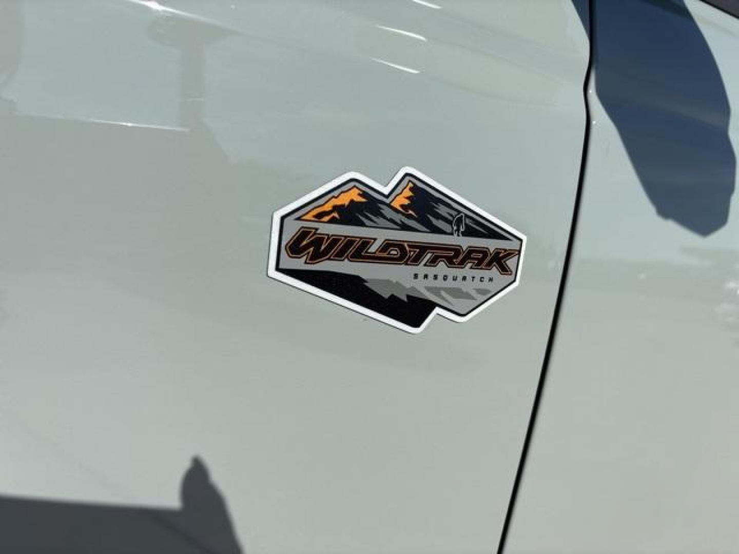 2024 Cactus /Black Ford Bronco Wildtrak (1FMEE2BP9RL) with an 2.7L EcoBoost V6 engine, Automatic transmission, located at 1105 E Mulberry, Kaufman, TX, 75142, (972) 962-2151, 32.589550, -96.300926 - Cactus Gray 2024 Ford Bronco 4D Sport Utility Wildtrak 4WD 10-Speed Automatic 2.7L EcoBoost V6<br><br><br>Please call Paul Murrey Ford Inc. In Kaufman Texas A Family Dealership Since 1952 Serving the Dallas Fort Worth and East Texas areas for over 70 years. Please call 972-962-2151 www.murreyford.co - Photo#8