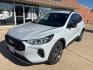 2025 Silver Metallic /Ebony Ford Escape ST-Line (1FMCU0MN5SU) with an 1.5L EcoBoost engine, Automatic transmission, located at 1105 E Mulberry, Kaufman, TX, 75142, (972) 962-2151, 32.589550, -96.300926 - Photo#1