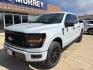 2025 White Metallic /Black Ford F-150 STX (1FTFW2L56SK) with an 2.7L V6 EcoBoost engine, Automatic transmission, located at 1105 E Mulberry, Kaufman, TX, 75142, (972) 962-2151, 32.589550, -96.300926 - Space White Metallic 2025 Ford F-150 4D SuperCrew STX 4WD 10-Speed Automatic 2.7L V6 EcoBoost 4WD.<br><br><br>Please call Paul Murrey Ford Inc. In Kaufman Texas A Family Dealership Since 1952 Serving the Dallas Fort Worth and East Texas areas for over 70 years. Please call 972-962-2151 www.murreyfor - Photo#1