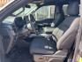 2025 Gray Metallic /Black Ford F-150 XLT (1FTFW3L85SK) with an 3.5L V6 EcoBoost engine, Automatic transmission, located at 1105 E Mulberry, Kaufman, TX, 75142, (972) 962-2151, 32.589550, -96.300926 - Carbonized Gray Metallic 2025 Ford F-150 4D SuperCrew XLT 4WD 10-Speed Automatic 3.5L V6 EcoBoost 4WD.<br><br><br>Please call Paul Murrey Ford Inc. In Kaufman Texas A Family Dealership Since 1952 Serving the Dallas Fort Worth and East Texas areas for over 70 years. Please call 972-962-2151 www.murre - Photo#8