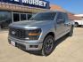 2025 Silver Metallic /Black Ford F-150 STX (1FTFW2L56SK) with an 2.7L V6 EcoBoost engine, Automatic transmission, located at 1105 E Mulberry, Kaufman, TX, 75142, (972) 962-2151, 32.589550, -96.300926 - Iconic Silver Metallic 2025 Ford F-150 4D SuperCrew STX 4WD 10-Speed Automatic 2.7L V6 EcoBoost 4WD.<br><br><br>Please call Paul Murrey Ford Inc. In Kaufman Texas A Family Dealership Since 1952 Serving the Dallas Fort Worth and East Texas areas for over 70 years. Please call 972-962-2151 www.murreyf - Photo#1