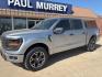 2025 Silver Metallic /Black Ford F-150 STX (1FTFW2L56SK) with an 2.7L V6 EcoBoost engine, Automatic transmission, located at 1105 E Mulberry, Kaufman, TX, 75142, (972) 962-2151, 32.589550, -96.300926 - Iconic Silver Metallic 2025 Ford F-150 4D SuperCrew STX 4WD 10-Speed Automatic 2.7L V6 EcoBoost 4WD.<br><br><br>Please call Paul Murrey Ford Inc. In Kaufman Texas A Family Dealership Since 1952 Serving the Dallas Fort Worth and East Texas areas for over 70 years. Please call 972-962-2151 www.murreyf - Photo#2