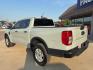 2024 Cactus /Ebony Ford Ranger XL (1FTER4BHXRL) with an EcoBoost 2.3L I4 GTDi DOHC Turbocharged VCT engine, Automatic transmission, located at 1105 E Mulberry, Kaufman, TX, 75142, (972) 962-2151, 32.589550, -96.300926 - Cactus 2024 Ford Ranger 4D Crew Cab XL RWD 10-Speed Automatic EcoBoost 2.3L I4 GTDi DOHC Turbocharged VCT<br><br><br>Please call Paul Murrey Ford Inc. In Kaufman Texas A Family Dealership Since 1952 Serving the Dallas Fort Worth and East Texas areas for over 70 years. Please call 972-962-2151 www.mu - Photo#2