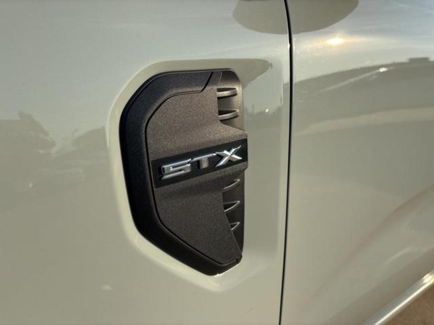 2024 Cactus /Ebony Ford Ranger XL (1FTER4BHXRL) with an EcoBoost 2.3L I4 GTDi DOHC Turbocharged VCT engine, Automatic transmission, located at 1105 E Mulberry, Kaufman, TX, 75142, (972) 962-2151, 32.589550, -96.300926 - Cactus 2024 Ford Ranger 4D Crew Cab XL RWD 10-Speed Automatic EcoBoost 2.3L I4 GTDi DOHC Turbocharged VCT<br><br><br>Please call Paul Murrey Ford Inc. In Kaufman Texas A Family Dealership Since 1952 Serving the Dallas Fort Worth and East Texas areas for over 70 years. Please call 972-962-2151 www.mu - Photo#8