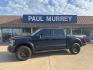 2024 Blue Metallic /Black Ford F-150 Raptor (1FTFW1RG8RF) with an 3.5L V6 EcoBoost engine, Automatic transmission, located at 1105 E Mulberry, Kaufman, TX, 75142, (972) 962-2151, 32.589550, -96.300926 - Blue Metallic 2024 Ford F-150 4D SuperCrew Raptor 4WD 10-Speed Automatic 3.5L V6 EcoBoost 4WD.<br><br><br>Please call Paul Murrey Ford Inc. In Kaufman Texas A Family Dealership Since 1952 Serving the Dallas Fort Worth and East Texas areas for over 70 years. Please call 972-962-2151 www.murreyford.co - Photo#0