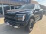 2024 Blue Metallic /Black Ford F-150 Raptor (1FTFW1RG8RF) with an 3.5L V6 EcoBoost engine, Automatic transmission, located at 1105 E Mulberry, Kaufman, TX, 75142, (972) 962-2151, 32.589550, -96.300926 - Blue Metallic 2024 Ford F-150 4D SuperCrew Raptor 4WD 10-Speed Automatic 3.5L V6 EcoBoost 4WD.<br><br><br>Please call Paul Murrey Ford Inc. In Kaufman Texas A Family Dealership Since 1952 Serving the Dallas Fort Worth and East Texas areas for over 70 years. Please call 972-962-2151 www.murreyford.co - Photo#1