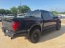 2024 Blue Metallic /Black Ford F-150 Raptor (1FTFW1RG8RF) with an 3.5L V6 EcoBoost engine, Automatic transmission, located at 1105 E Mulberry, Kaufman, TX, 75142, (972) 962-2151, 32.589550, -96.300926 - Blue Metallic 2024 Ford F-150 4D SuperCrew Raptor 4WD 10-Speed Automatic 3.5L V6 EcoBoost 4WD.<br><br><br>Please call Paul Murrey Ford Inc. In Kaufman Texas A Family Dealership Since 1952 Serving the Dallas Fort Worth and East Texas areas for over 70 years. Please call 972-962-2151 www.murreyford.co - Photo#4