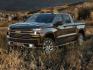 2022 Satin Steel Metallic /Black Chevrolet Silverado 1500 LTD LT Trail Boss (3GCPYFEL5NG) with an EcoTec3 6.2L V8 engine, Automatic transmission, located at 1105 E Mulberry, Kaufman, TX, 75142, (972) 962-2151, 32.589550, -96.300926 - Satin Steel Metallic 2022 Chevrolet Silverado 1500 LTD 4D Crew Cab LT Trail Boss 4WD 10-Speed Automatic EcoTec3 6.2L V8<br><br><br>Recent Arrival!<br><br><br>Please call Paul Murrey Ford Inc. In Kaufman Texas A Family Dealership Since 1952 Serving the Dallas Fort Worth and East Texas areas for over - Photo#0
