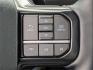 2025 Agate Black Metallic /Black Ford F-150 Platinum (1FTFW7L86SF) with an 3.5L V6 EcoBoost engine, Automatic transmission, located at 1105 E Mulberry, Kaufman, TX, 75142, (972) 962-2151, 32.589550, -96.300926 - Black Metallic 2025 Ford F-150 4D SuperCrew Platinum 4WD 10-Speed Automatic 3.5L V6 EcoBoost 4WD.<br><br>Recent Arrival!<br><br><br>Please call Paul Murrey Ford Inc. In Kaufman Texas A Family Dealership Since 1952 Serving the Dallas Fort Worth and East Texas areas for over 70 years. Please call 972- - Photo#14