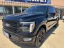 2025 Black Metallic /Blue Ford F-150 Platinum (1FTFW7L86SF) with an 3.5L V6 EcoBoost engine, Automatic transmission, located at 1105 E Mulberry, Kaufman, TX, 75142, (972) 962-2151, 32.589550, -96.300926 - Black Metallic 2025 Ford F-150 4D SuperCrew Platinum 4WD 10-Speed Automatic 3.5L V6 EcoBoost 4WD.<br><br><br>Odometer is 535 miles below market average!<br><br><br>Please call Paul Murrey Ford Inc. In Kaufman Texas A Family Dealership Since 1952 Serving the Dallas Fort Worth and East Texas areas for - Photo#1