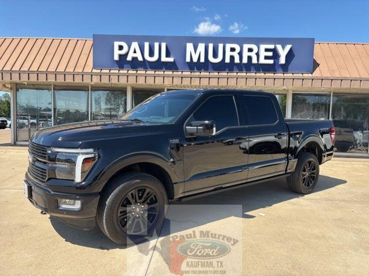 2025 Black Metallic /Blue Ford F-150 Platinum (1FTFW7L86SF) with an 3.5L V6 EcoBoost engine, Automatic transmission, located at 1105 E Mulberry, Kaufman, TX, 75142, (972) 962-2151, 32.589550, -96.300926 - Photo#0
