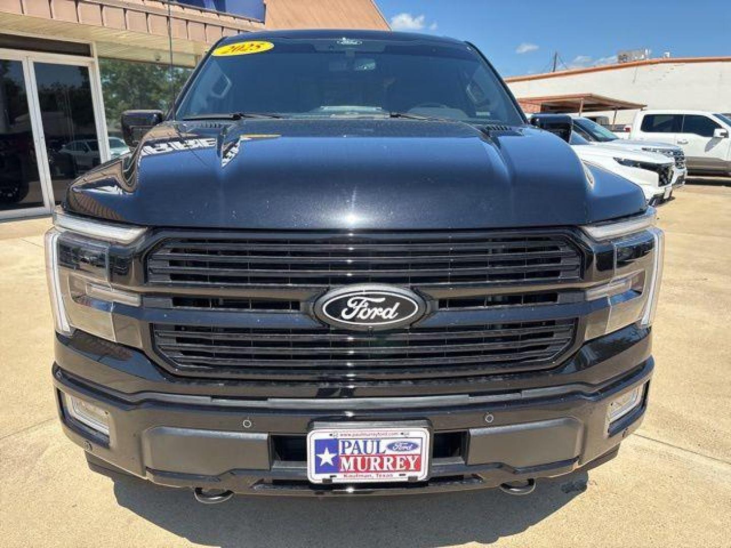 2025 Black Metallic /Blue Ford F-150 Platinum (1FTFW7L86SF) with an 3.5L V6 EcoBoost engine, Automatic transmission, located at 1105 E Mulberry, Kaufman, TX, 75142, (972) 962-2151, 32.589550, -96.300926 - Photo#6