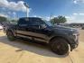 2025 Black Metallic /Blue Ford F-150 Platinum (1FTFW7L86SF) with an 3.5L V6 EcoBoost engine, Automatic transmission, located at 1105 E Mulberry, Kaufman, TX, 75142, (972) 962-2151, 32.589550, -96.300926 - Black Metallic 2025 Ford F-150 4D SuperCrew Platinum 4WD 10-Speed Automatic 3.5L V6 EcoBoost 4WD, Speed control. Priced below KBB Fair Purchase Price!<br><br><br>Odometer is 5253 miles below market average!<br><br><br>Please call Paul Murrey Ford Inc. In Kaufman Texas A Family Dealership Since 1952 - Photo#7