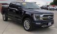 2022 Blue Metallic /Admiral Blue Ford F-150 Limited (1FTFW1ED7NF) with an 3.5L PowerBoost Full-Hybrid V6 engine, Automatic transmission, located at 1105 E Mulberry, Kaufman, TX, 75142, (972) 962-2151, 32.589550, -96.300926 - Photo#6