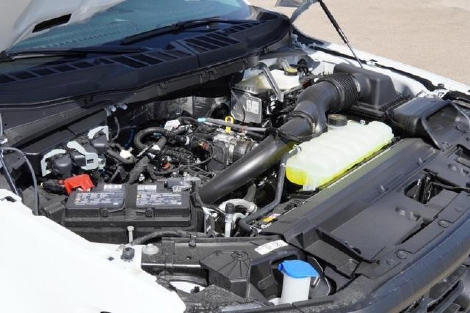 2025 Oxford White /Dark Slate Vinal Ford F-150 XL (1FTEW1KP7SK) with an 2.7L V6 EcoBoost engine, Automatic transmission, located at 1105 E Mulberry, Kaufman, TX, 75142, (972) 962-2151, 32.589550, -96.300926 - Photo#31