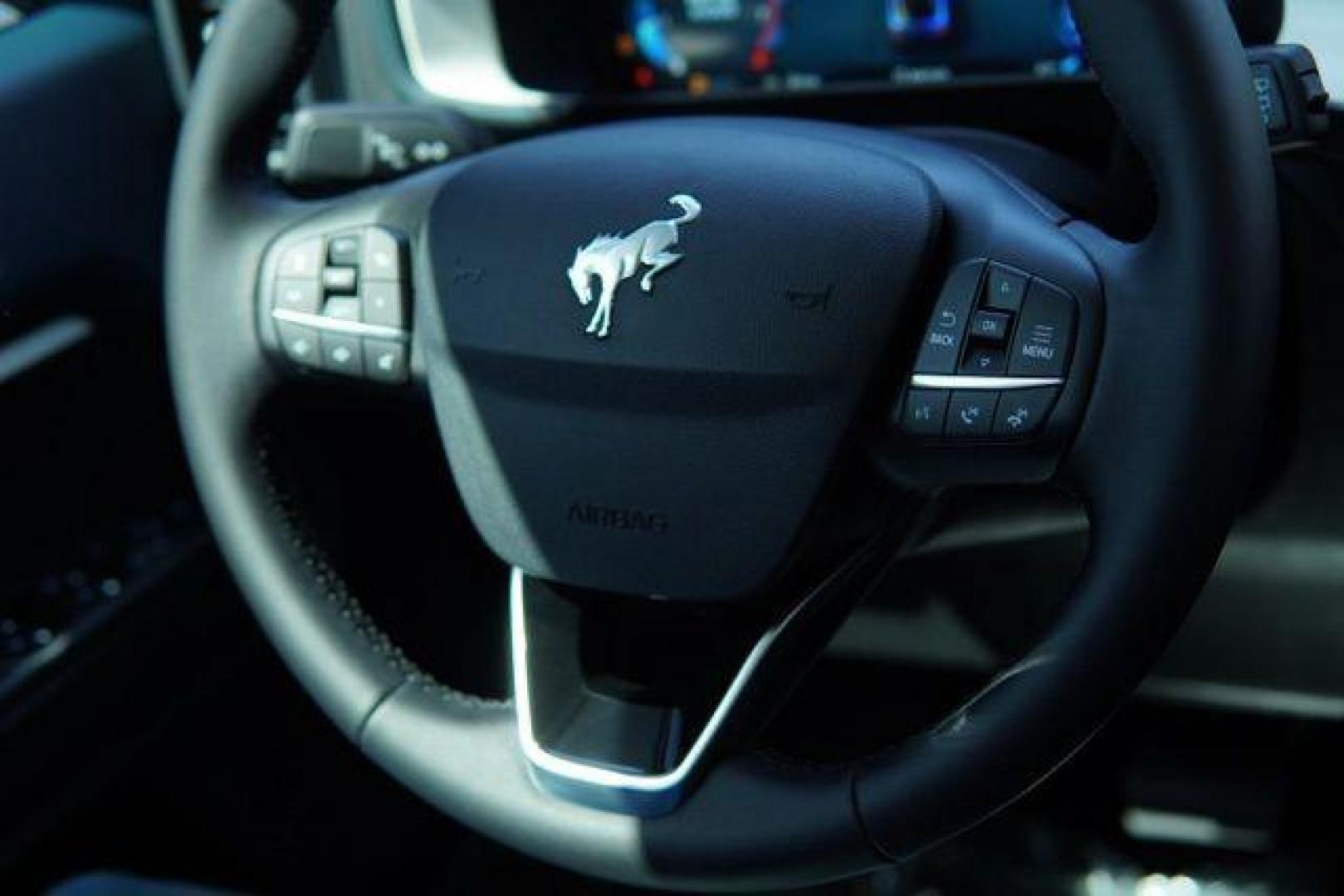 2025 Shadow Black /Navy Pier Ford Bronco Sport Heritage (3FMCR9GN0SR) with an 1.5L EcoBoost engine, Automatic transmission, located at 1105 E Mulberry, Kaufman, TX, 75142, (972) 962-2151, 32.589550, -96.300926 - Photo#10