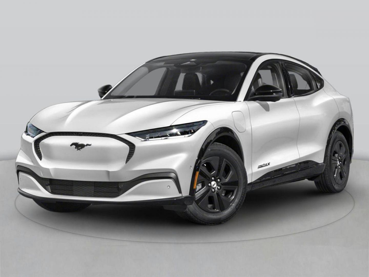 2025 Glacier Gray Metallic TriCoat /Black Onyx Ford Mustang Mach-E Premium (3FMTK3R48SM) with an Electric Motor engine, Automatic transmission, located at 1105 E Mulberry, Kaufman, TX, 75142, (972) 962-2151, 32.589550, -96.300926 - Glacier Gray Metallic TriCoat 2025 Ford Mustang Mach-E 4D Sport Utility Premium RWD Single-Speed Automatic Electric Motor<br><br>Recent Arrival! 106/98 City/Highway MPG<br><br><br>Please call Paul Murrey Ford Inc. In Kaufman Texas A Family Dealership Since 1952 Serving the Dallas Fort Worth and East - Photo#0