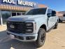 2026 Glacier Gray Metallic Tri-Coat /Black Onyx Ford F-250SD Lariat (1FT8W2BM5TE) with an 6.7L High Output Power Stroke V8 Diesel engine, Automatic transmission, located at 1105 E Mulberry, Kaufman, TX, 75142, (972) 962-2151, 32.589550, -96.300926 - Photo#1