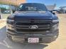 2025 Antimatter Blue Metallic /Black Ford F-150 Lariat (1FTFW5L51SK) with an 5.0L V8 engine, Automatic transmission, located at 1105 E Mulberry, Kaufman, TX, 75142, (972) 962-2151, 32.589550, -96.300926 - $4,519 off MSRP!<br><br>4WD.<br>Antimatter Blue Metallic 2025 Ford F-150 4D SuperCrew Lariat 4WD 10-Speed Automatic 5.0L V8 17/22 City/Highway MPG Price includes: $500 - Retail Bonus Cash. Exp. 01/05/2026 - Photo#7