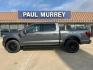 2025 Carbonized Gray Metallic /Black Active Ford F-150 Lariat (1FTFW5L55SK) with an 5.0L V8 engine, Automatic transmission, located at 1105 E Mulberry, Kaufman, TX, 75142, (972) 962-2151, 32.589550, -96.300926 - Recent Arrival!<br><br>4WD.<br>Carbonized Gray Metallic 2025 Ford F-150 4D SuperCrew Lariat 4WD 10-Speed Automatic 5.0L V8 17/22 City/Highway MPG Price includes: $500 - Retail Bonus Cash. Exp. 01/05/2026 - Photo#0