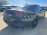 2026 Shadow Black /Black Onyx Ford Mustang GT Premium (1FA6P8CF4T5) with an 5.0L V8 Ti-VCT engine, Automatic transmission, located at 1105 E Mulberry, Kaufman, TX, 75142, (972) 962-2151, 32.589550, -96.300926 - Shadow Black 2026 Ford Mustang 2D Coupe GT Premium RWD 10-Speed Automatic 5.0L V8 Ti-VCT 15/24 City/Highway MPG - Photo#4