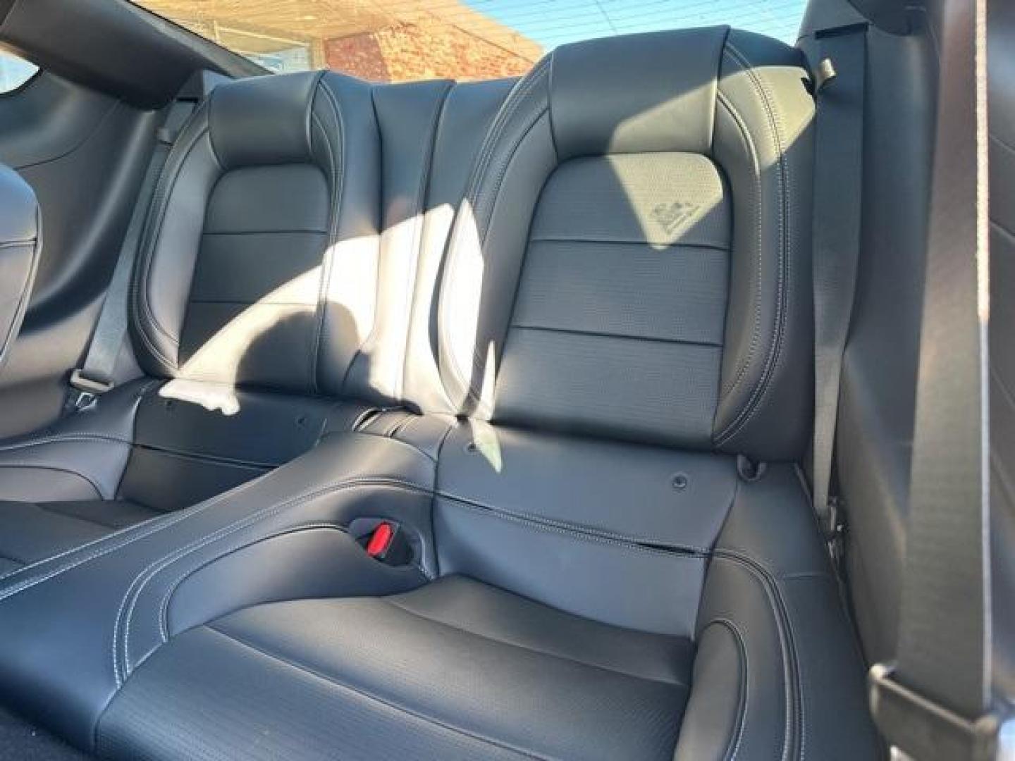 2026 Shadow Black /Black Onyx Ford Mustang GT Premium (1FA6P8CF4T5) with an 5.0L V8 Ti-VCT engine, Automatic transmission, located at 1105 E Mulberry, Kaufman, TX, 75142, (972) 962-2151, 32.589550, -96.300926 - Shadow Black 2026 Ford Mustang 2D Coupe GT Premium RWD 10-Speed Automatic 5.0L V8 Ti-VCT 15/24 City/Highway MPG - Photo#12