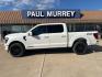 2026 Star White Metallic Tri-Coat /Black Ford F-150 Platinum (1FTFW7LD2TF) with an 3.5L PowerBoost Full-Hybrid V6 engine, Automatic transmission, located at 1105 E Mulberry, Kaufman, TX, 75142, (972) 962-2151, 32.589550, -96.300926 - 3.5L PowerBoost Full-Hybrid V6, 4WD.<br>Star White Metallic Tri-Coat 2026 Ford F-150 4D SuperCrew Platinum 4WD 10-Speed Automatic 3.5L PowerBoost Full-Hybrid V6 23/23 City/Highway MPG - Photo#0