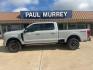 2026 Avalanche /Black Onyx/Platinum Blue Ford F-250SD Platinum (1FT8W2BM2TE) with an 6.7L High Output Power Stroke V8 Diesel engine, Automatic transmission, located at 1105 E Mulberry, Kaufman, TX, 75142, (972) 962-2151, 32.589550, -96.300926 - Photo#0