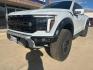 2025 Space White Metallic /Black Ford F-150 Raptor (1FTFW1RG2SF) with an 3.5L V6 EcoBoost engine, Automatic transmission, located at 1105 E Mulberry, Kaufman, TX, 75142, (972) 962-2151, 32.589550, -96.300926 - Recent Arrival!<br><br>4WD.<br>Space White Metallic 2025 Ford F-150 4D SuperCrew Raptor 4WD 10-Speed Automatic 3.5L V6 EcoBoost 15/18 City/Highway MPG - Photo#1
