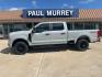 2026 Avalanche /Medium Dark Slate Ford F-250SD XL (1FT7W2BT4TE) with an Power Stroke 6.7L V8 DI 32V OHV Turbodiesel engine, Automatic transmission, located at 1105 E Mulberry, Kaufman, TX, 75142, (972) 962-2151, 32.589550, -96.300926 - Photo#0