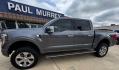 2021 Gray Metallic /Black Ford F-150 Platinum (1FTFW1E83MF) with an 3.5L V6 EcoBoost engine, Automatic transmission, located at 1105 E Mulberry, Kaufman, TX, 75142, (972) 962-2151, 32.589550, -96.300926 - Gray Metallic 2021 Ford F-150 4D SuperCrew Platinum 4WD 10-Speed Automatic 3.5L V6 EcoBoost 4WD.<br><br><br>Recent Arrival! Odometer is 5572 miles below market average!<br><br>Awards:<br> * NACTOY 2021 North American Truck of the Year<br>Please call Paul Murrey Ford Inc. In Kaufman Texas A Family D - Photo#1