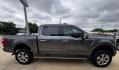 2021 Gray Metallic /Black Ford F-150 Platinum (1FTFW1E83MF) with an 3.5L V6 EcoBoost engine, Automatic transmission, located at 1105 E Mulberry, Kaufman, TX, 75142, (972) 962-2151, 32.589550, -96.300926 - Gray Metallic 2021 Ford F-150 4D SuperCrew Platinum 4WD 10-Speed Automatic 3.5L V6 EcoBoost 4WD.<br><br><br>Recent Arrival! Odometer is 5572 miles below market average!<br><br>Awards:<br> * NACTOY 2021 North American Truck of the Year<br>Please call Paul Murrey Ford Inc. In Kaufman Texas A Family D - Photo#12