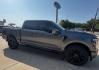 2026 Gray Metallic /Gray Ford F-150 Platinum (1FTFW7L81TF) with an 3.5L V6 EcoBoost engine, Automatic transmission, located at 1105 E Mulberry, Kaufman, TX, 75142, (972) 962-2151, 32.589550, -96.300926- Photo#11