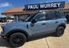 2026 Azure Gray Metallic /Dark Space Gray Ford Bronco Sport Badlands (3FMCR9DA8TR) with an EcoBoost 2.0L I4 GTDi DOHC Turbocharged VCT engine, Automatic transmission, located at 1105 E Mulberry, Kaufman, TX, 75142, (972) 962-2151, 32.589550, -96.300926- Photo#2