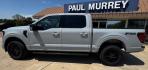 2026 Avalanche /Black Ford F-150 XLT (1FTFW3L57TF) with an 5.0L V8 engine, Automatic transmission, located at 1105 E Mulberry, Kaufman, TX, 75142, (972) 962-2151, 32.589550, -96.300926 - Recent Arrival! $5,000 off MSRP!<br><br>4WD.<br>Avalanche 2026 Ford F-150 4D SuperCrew XLT 4WD 10-Speed Automatic 5.0L V8 16/24 City/Highway MPG Price includes: $1000 - SSE Down Payment Assistance. Exp. 08/31/2026 $3000 - Retail Customer Cash. Exp. 09/30/2026 $500 - Final Days Mega Bonus Cash. Exp.- Photo#3