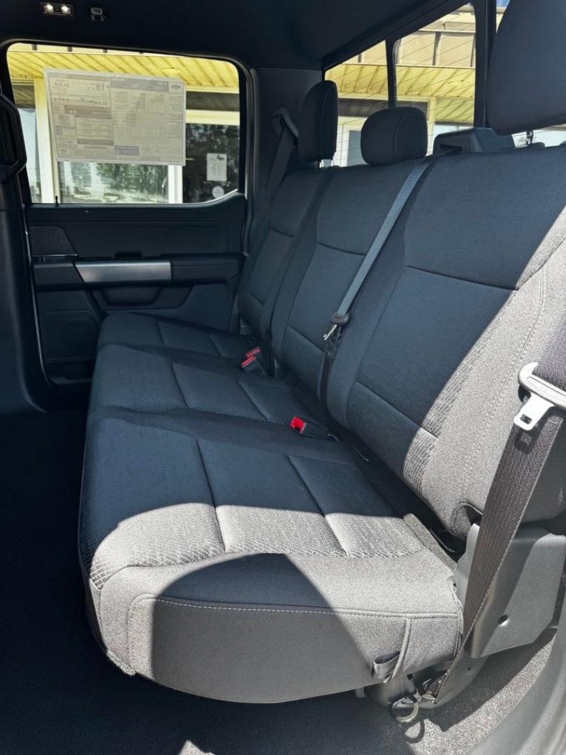 2026 Avalanche /Black Ford F-150 XLT (1FTFW3L57TF) with an 5.0L V8 engine, Automatic transmission, located at 1105 E Mulberry, Kaufman, TX, 75142, (972) 962-2151, 32.589550, -96.300926 - Recent Arrival! $5,000 off MSRP!<br><br>4WD.<br>Avalanche 2026 Ford F-150 4D SuperCrew XLT 4WD 10-Speed Automatic 5.0L V8 16/24 City/Highway MPG Price includes: $1000 - SSE Down Payment Assistance. Exp. 08/31/2026 $3000 - Retail Customer Cash. Exp. 09/30/2026 $500 - Final Days Mega Bonus Cash. Exp.- Photo#29